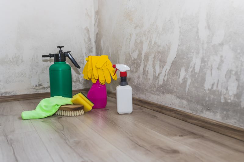 Mold Remediation Tools